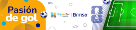 Brinsa / Pasión de Gol
